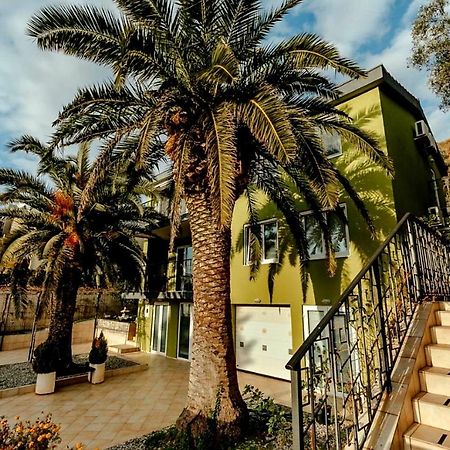 Olive Garden Apartment Petrovac エクステリア 写真
