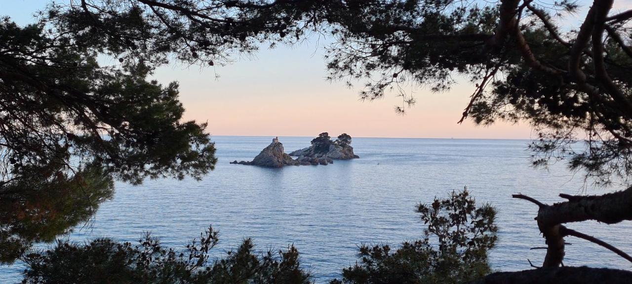 Olive Garden Apartment Petrovac エクステリア 写真