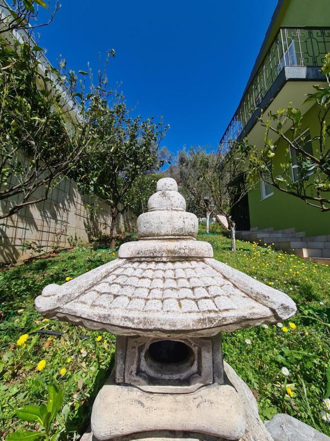 Olive Garden Apartment Petrovac エクステリア 写真