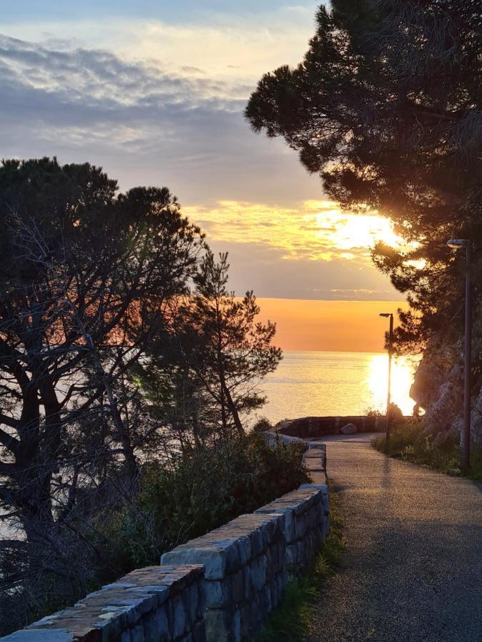 Olive Garden Apartment Petrovac エクステリア 写真