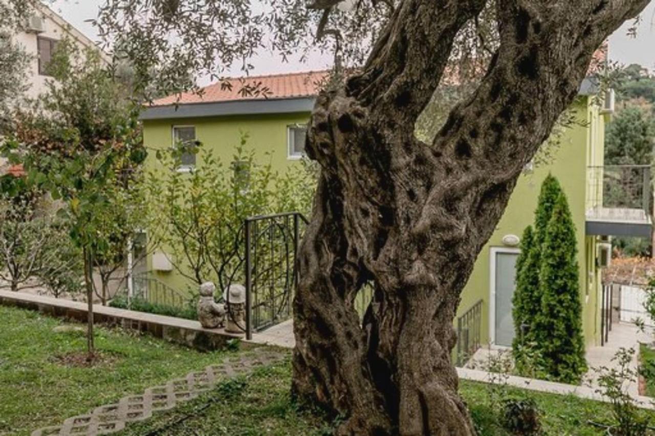 Olive Garden Apartment Petrovac エクステリア 写真